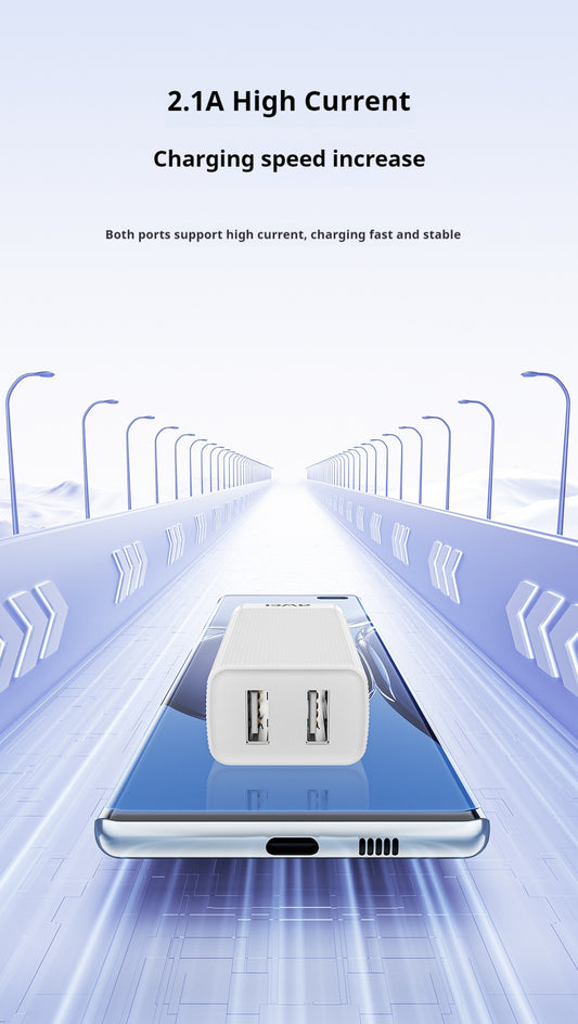 AWEI C15T Dual USB Charging Head, Type-C Cable Kit 1m